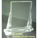 T-01955